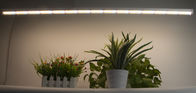 Bright Indoor Led Grow Light T8 18w Full Spectrum Led Grow Light 5 Years Warranty