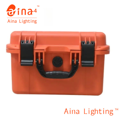 Pure Sine Wave Outdoor 1000w Emergency Portable Power Supply High Power For Home