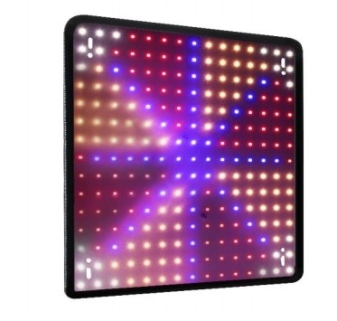 Economical Model Full Spectrum Plant Growth Lamp Red Blue Light for Greenhouse Lighting