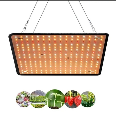 Economical Model Full Spectrum Plant Growth Lamp Red Blue Light for Greenhouse Lighting