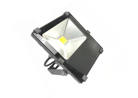 RGB 30W Spot Light AC100-277V Floodlight Fixtures for Park and Garden
