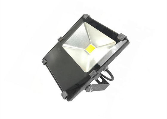 RGB 30W Spot Light AC100-277V Floodlight Fixtures for Park and Garden