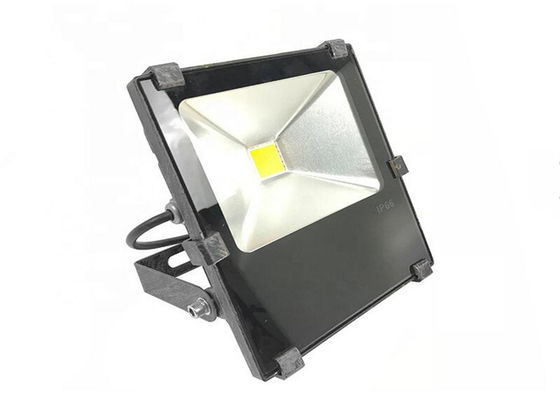 RGB 30W Spot Light AC100-277V Floodlight Fixtures for Park and Garden