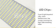 150W AC100 - 240V LED Spot Flood Lights High CRI And Low Energy Consumption