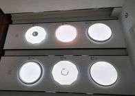 40W Modern Surface Mounted Round LED Ceiling Light PC Cover Or PMMA Cover Indoor Lighting