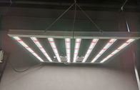 600w Indoor LED Grow Light Indoor Plant Grow Lights AC85 - 265V Input Voltage