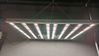 SMD 2835 Indoor LED Grow Light / Led Indoor Garden Lights IP65 Lightwieght