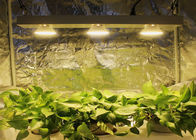 Full Spectrum Indoor LED Grow Light Led Grow Panel Light 100 - 240W RoHS