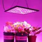 Lightweight Energy Efficient Grow Lights Led Flowering Grow Lights 3 Years Warranty