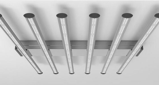 Full Spectrum Led Greenhouse Lighting 650 Watts Greenhouse Grow Lights