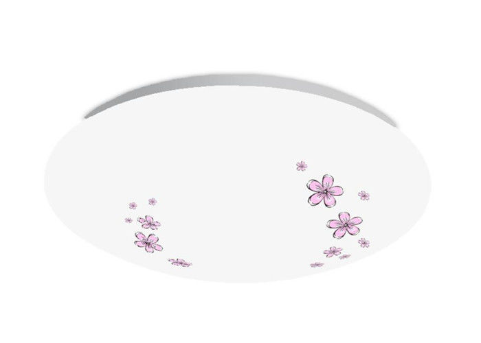 PMMA Round Circular Ceiling Mounted LED Lights 18 Watt AC175-265V AN-XD-JY-18-01